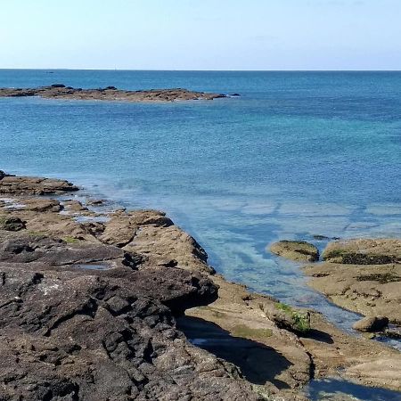 L'Ocean A 100M Via Une Venelle Privee, La Ville Close A 500M, L'Archipel Des Glenan A L'Horizon Concarneau Eksteriør bilde